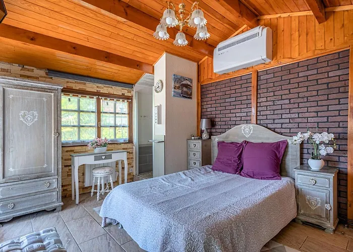 Montevrain Cottage Alpehytte Montévrain