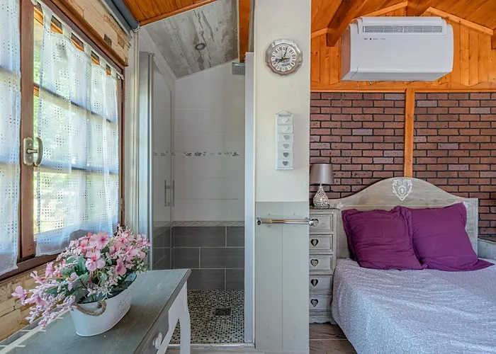 Alpehytte Montevrain Cottage